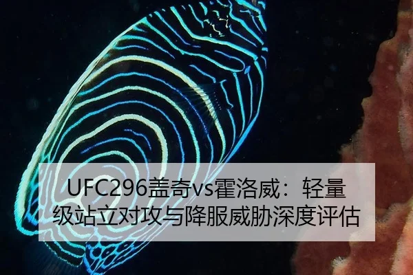 UFC296盖奇vs霍洛威：轻量级站立对攻与降服威胁深度评估