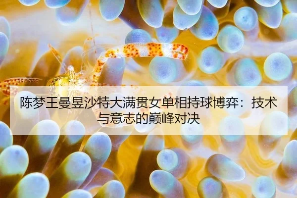 chen-meng-wang-man-yu-sha-te-da-man-guan-nv-dan-xiang-chi-qiu-bo-yi-ji-shu-yu-yi-zhi-de-dian-feng-dui-jue-2-667.jpg