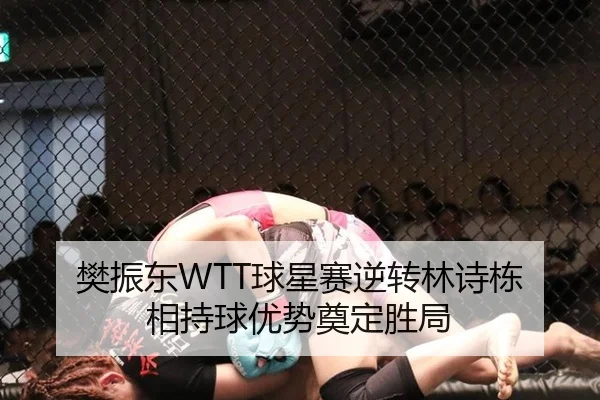 樊振东WTT球星赛逆转林诗栋 相持球优势奠定胜局