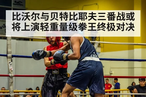 比沃尔与贝特比耶夫三番战或将上演轻重量级拳王终极对决
