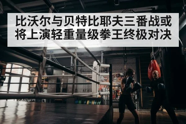 boxer training