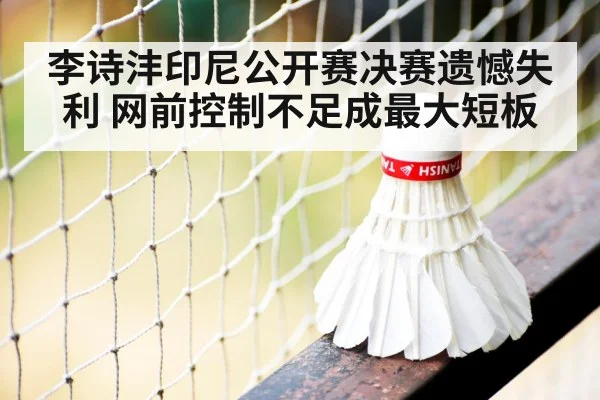 badminton net play close up
